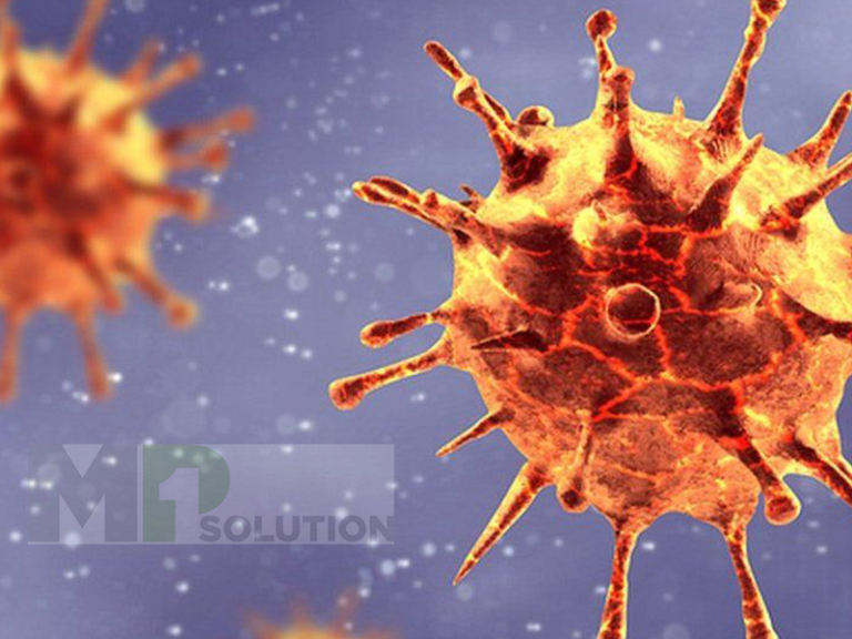 How Do Viruses Mutate and What Are Its Implications? - MP1 Solution